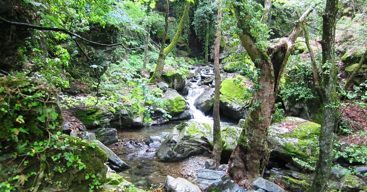 Ayazmapınarı Tabiat Parkı